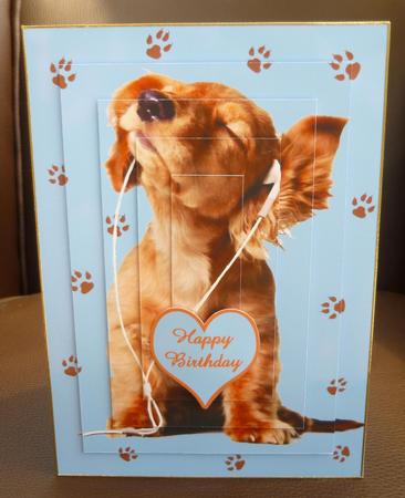 Cute Puppy with Earphones Mini Kit Birthday or Any Occasion by Jayne Jones