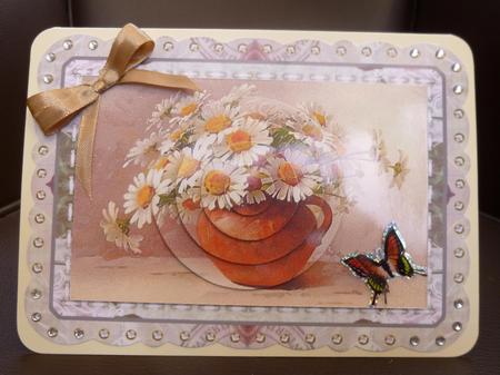 Daisies by Jayne Jones