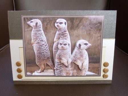 Meerkats Scene 3D Decoupage by Jayne Jones