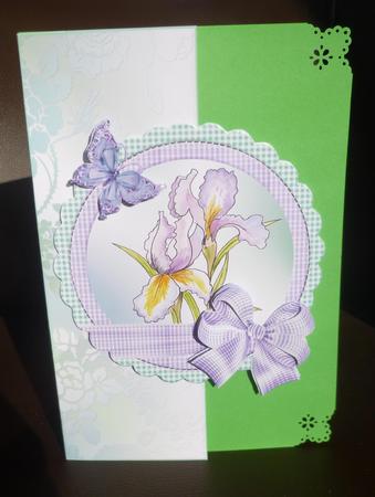 Irises and Bows Over the Edge Mini Kit with Decoupage by Jayne Jones
