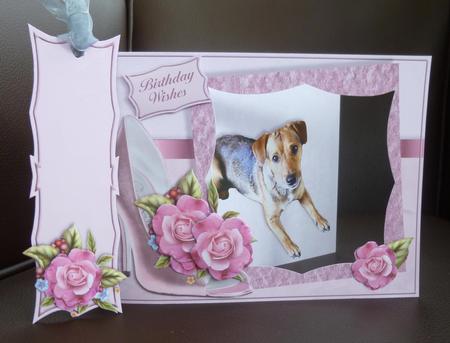 Puppies, Posies & Shoes Mini-kit - Patterjack by Jayne Jones