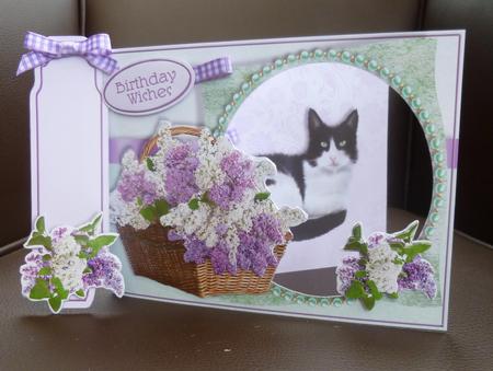 Kittens & Flower Baskets Aperture Mini Kit - Felix by Jayne Jones