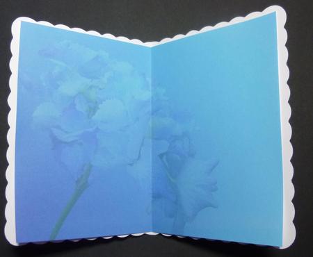 Cu Blue Backgrounds by Jayne Jones