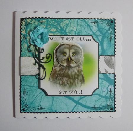Great Owl Don't Get Old Get Wise - Torn Strip Square by Jayne Jones