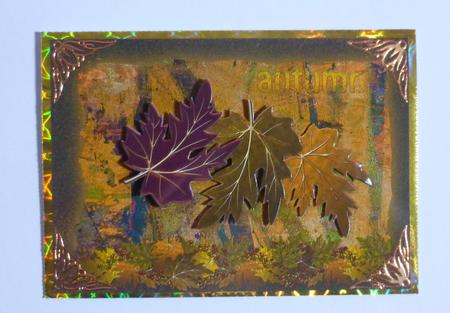 Flowers of Autumn, A5 Step by Step by Jayne Jones