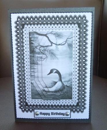 Monochrome Lace - Duck by Jayne Jones