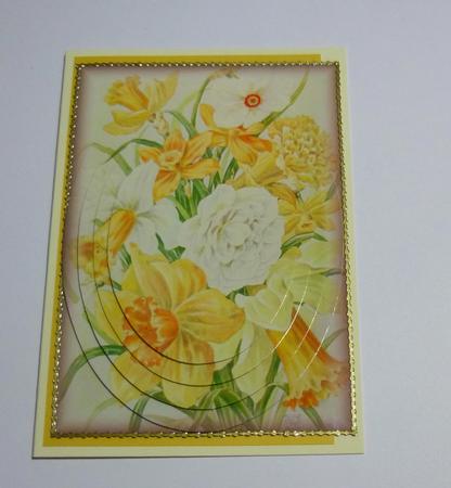 Two Vintage Daffodil and Narcissus Backgrounds by Jayne Jones