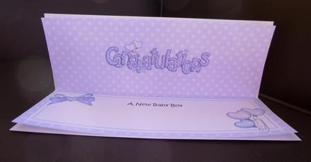 New Baby Boy Congratulations Matching Large Dl Insert by Jayne Jones