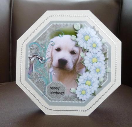 Octagon Puppy Love by Jayne Jones