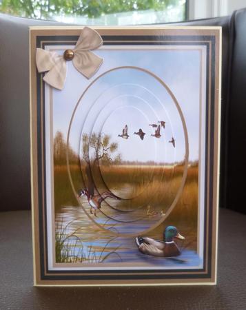 Lovely Pyramsrge Mallard Ducks by Jayne Jones