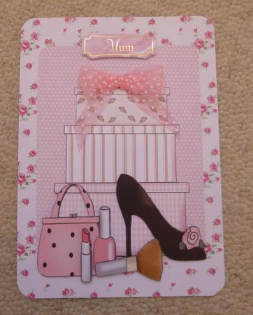Ladies Shoes with Accessories in Pink by Jayne Jones