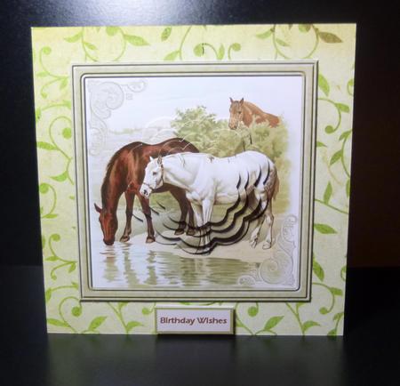 Horses Drinking from the River Card by Jayne Jones
