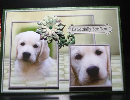 Birthday Boy Cute Doggie by Jayne Jones