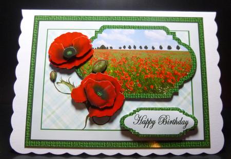 Poppy Field Decoupage by Jayne Jones