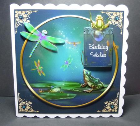 Frogs and Dragonflies by Jayne Jones