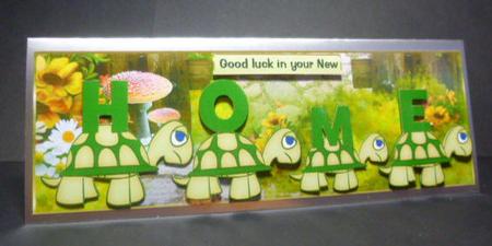 New Home Tortoises by Jayne Jones