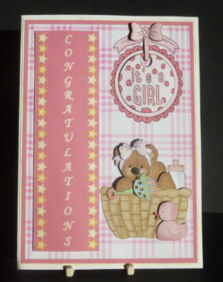 Congratulations Its a Girl Ted Step by Step by Jayne Jones