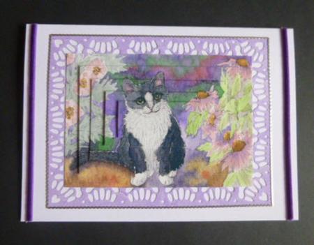 Black & White Tuxedo Cat in the Garden Pyramage by Jayne Jones