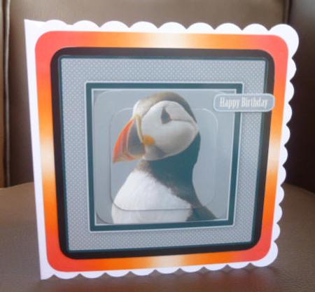 Arctic Puffin Father's Day, Birthday Quick Card by Jayne Jones