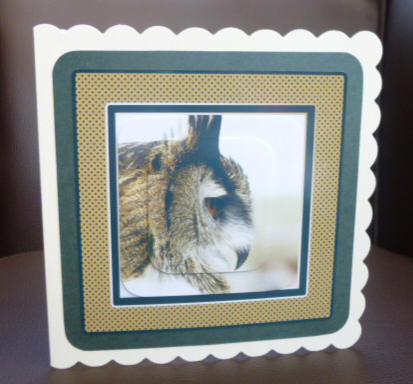 Eagle Owl, Birthday or Father's Day Quick Card by Jayne Jones