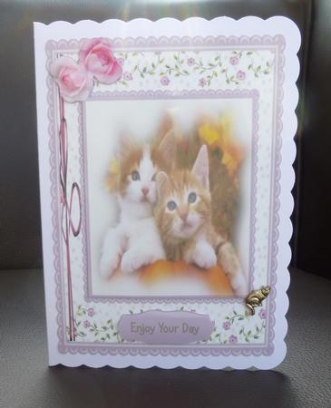 Two Beautiful Ginger Kitties by Jayne Jones