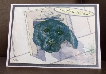 Black Lab Pup with Head Out of Cat Flap Wavy Corner Stacker by Jayne Jones