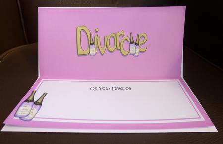 Divorce Matching Large Dl Insert by Jayne Jones