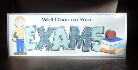Teenager Boy Exams Large Dl by Jayne Jones