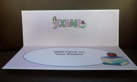 Teenager Girl Exams Large Dl Insert by Jayne Jones