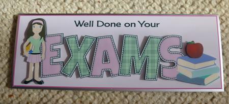 Teenager Girl Exams Large Dl by Jayne Jones