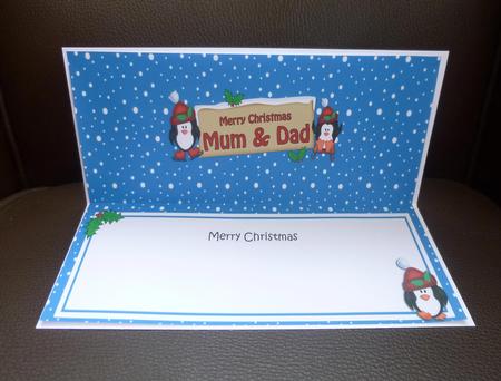 Xmas Mum & Dad Penguins Signpost Large Dl Matching Insert by Jayne Jones