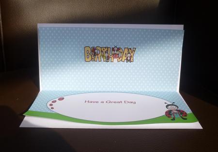 Cute Ladybirds Birthday Large Dl Insert by Jayne Jones