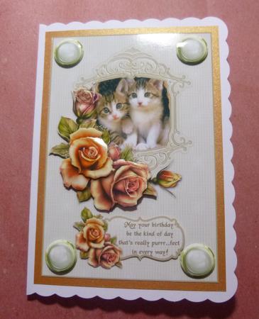 Cats and Roses Birthday by Jayne Jones