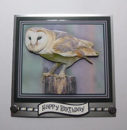Barn Owl 3D Decoupage by Jayne Jones
