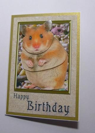 Hamster Card Front by Jayne Jones