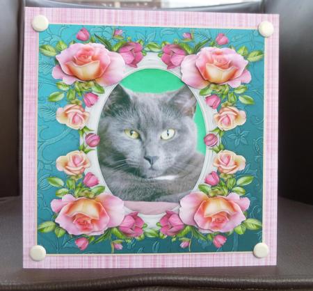 8 x 8 Orlando Grey Kitty Cat & Roses Card Topper & Decoupage by Jayne Jones