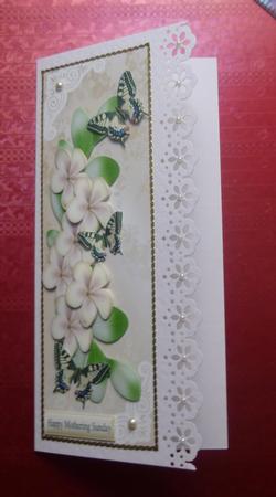 Pretty Cream Flowers and Butterflies Tall Dl by Jayne Jones