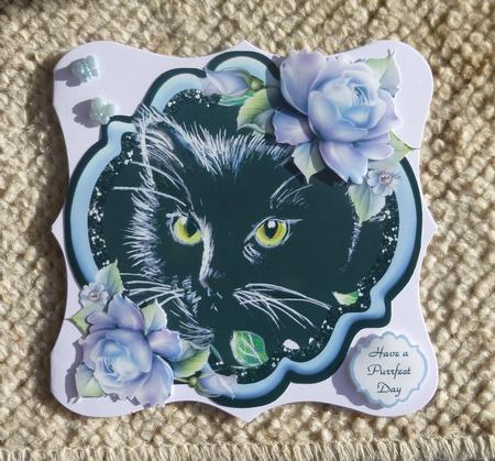 Such a Purrfect Day - Cat by Jayne Jones