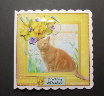 Ginger Snap Birthday Cat Card Kit by Jayne Jones