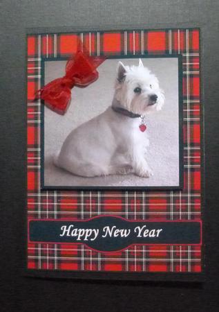 Happy New Year with Munro by Jayne Jones