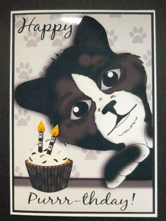 Cat Birthday Card with Cupcake and Candles by Jayne Jones