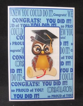 Congratulations You Did It ! by Jayne Jones