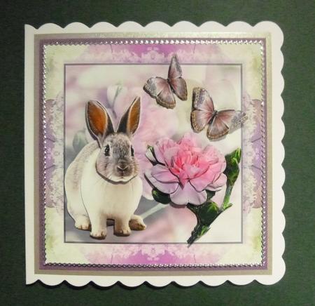 Bunny in Pink Surroundings by Jayne Jones