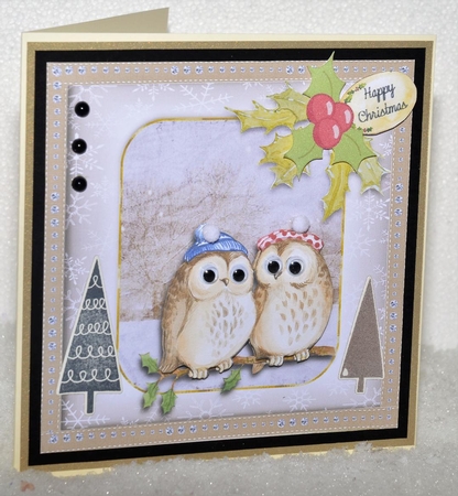 300dpi -  6 x 6ins Christmas Owls topper, decoupage and tags by Jackie Bullock