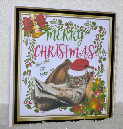 Cat in santa hat with issues with bell and holly 8x8 by Jackie Bullock