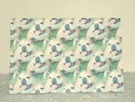 Happy Bulldog Background by Jackie Bullock