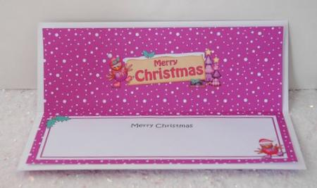 Christmas Robin Signpost Large Dl Matching Insert by Jackie Bullock