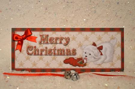 Christmas Cutie - Large Dl by Jackie Bullock