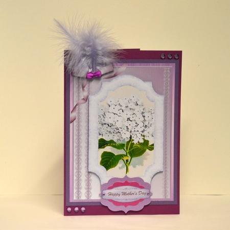 Lovely White Hydranger in Lilac Frame  by Jackie Bullock