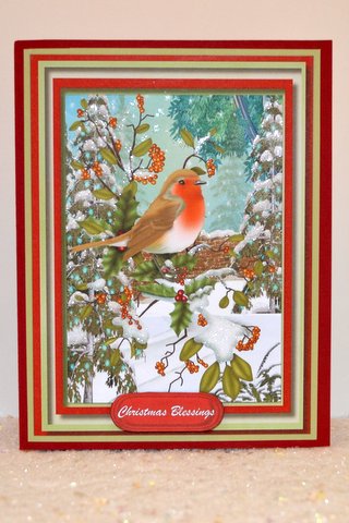 Beautiful Robin in the Morning Snow  by Jackie Bullock